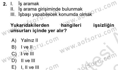 İstihdam ve İşsizlik Dersi 2017 - 2018 Yılı (Vize) Ara Sınav Soruları 2. Soru