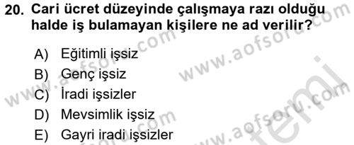 İstihdam ve İşsizlik Dersi 2017 - 2018 Yılı (Vize) Ara Sınav Soruları 20. Soru
