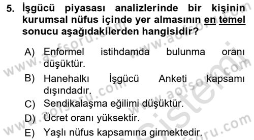 İstihdam ve İşsizlik Dersi 2017 - 2018 Yılı (Vize) Ara Sınav Soruları 5. Soru