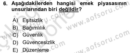 İstihdam ve İşsizlik Dersi 2017 - 2018 Yılı (Vize) Ara Sınav Soruları 6. Soru