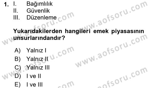 İstihdam ve İşsizlik Dersi 2017 - 2018 Yılı (Final) Dönem Sonu Sınav Soruları 1. Soru