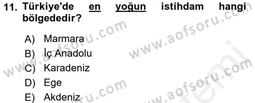 İstihdam ve İşsizlik Dersi 2017 - 2018 Yılı (Final) Dönem Sonu Sınav Soruları 11. Soru