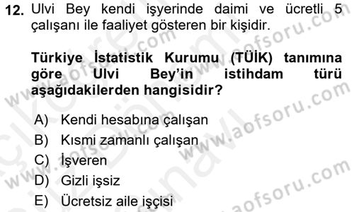 İstihdam ve İşsizlik Dersi 2017 - 2018 Yılı (Final) Dönem Sonu Sınav Soruları 12. Soru