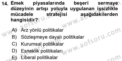 İstihdam ve İşsizlik Dersi 2017 - 2018 Yılı (Final) Dönem Sonu Sınav Soruları 14. Soru