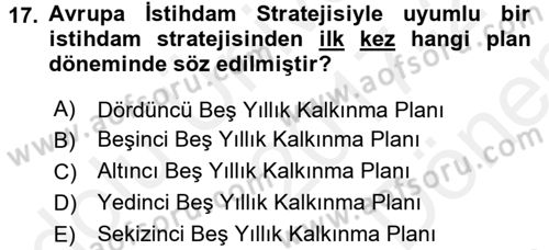 İstihdam ve İşsizlik Dersi 2017 - 2018 Yılı (Final) Dönem Sonu Sınav Soruları 17. Soru