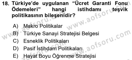 İstihdam ve İşsizlik Dersi 2017 - 2018 Yılı (Final) Dönem Sonu Sınav Soruları 18. Soru