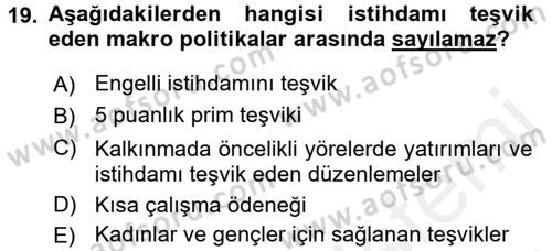 İstihdam ve İşsizlik Dersi 2017 - 2018 Yılı (Final) Dönem Sonu Sınav Soruları 19. Soru