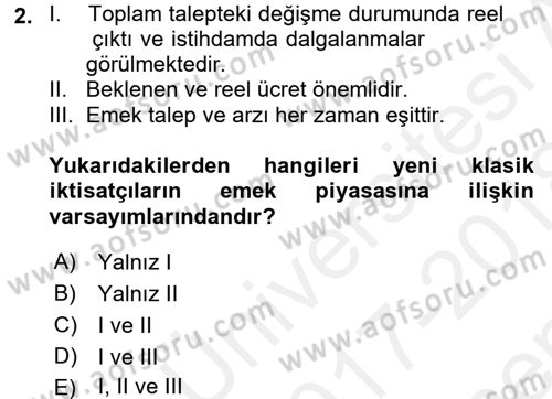 İstihdam ve İşsizlik Dersi 2017 - 2018 Yılı (Final) Dönem Sonu Sınav Soruları 2. Soru