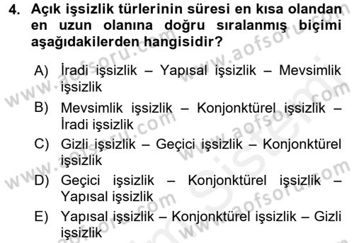 İstihdam ve İşsizlik Dersi 2017 - 2018 Yılı (Final) Dönem Sonu Sınav Soruları 4. Soru