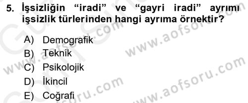 İstihdam ve İşsizlik Dersi 2017 - 2018 Yılı (Final) Dönem Sonu Sınav Soruları 5. Soru