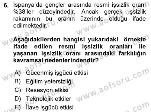 İstihdam ve İşsizlik Dersi 2017 - 2018 Yılı (Final) Dönem Sonu Sınav Soruları 6. Soru