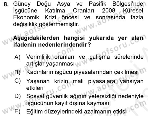 İstihdam ve İşsizlik Dersi 2017 - 2018 Yılı (Final) Dönem Sonu Sınav Soruları 8. Soru