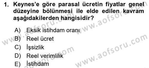 İstihdam ve İşsizlik Dersi 2022 - 2023 Yılı (Vize) Ara Sınav Soruları 1. Soru