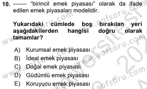 İstihdam ve İşsizlik Dersi Ara Sınavı Deneme Sınav Soruları 10. Soru