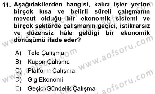 İstihdam ve İşsizlik Dersi Ara Sınavı Deneme Sınav Soruları 11. Soru