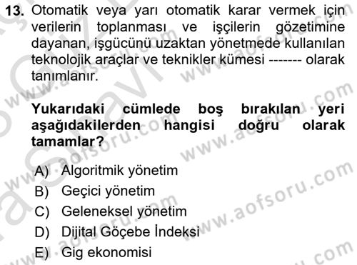 İstihdam ve İşsizlik Dersi 2022 - 2023 Yılı (Vize) Ara Sınav Soruları 13. Soru