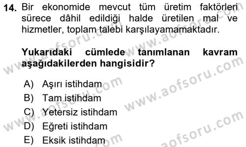 İstihdam ve İşsizlik Dersi Ara Sınavı Deneme Sınav Soruları 14. Soru