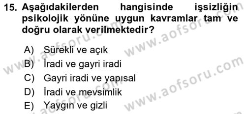 İstihdam ve İşsizlik Dersi Ara Sınavı Deneme Sınav Soruları 15. Soru