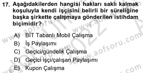 İstihdam ve İşsizlik Dersi Ara Sınavı Deneme Sınav Soruları 17. Soru