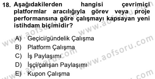 İstihdam ve İşsizlik Dersi 2022 - 2023 Yılı (Vize) Ara Sınav Soruları 18. Soru