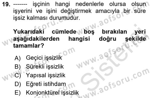İstihdam ve İşsizlik Dersi 2022 - 2023 Yılı (Vize) Ara Sınav Soruları 19. Soru