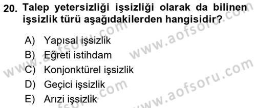 İstihdam ve İşsizlik Dersi Ara Sınavı Deneme Sınav Soruları 20. Soru
