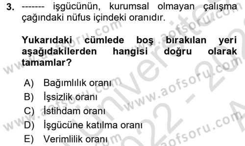 İstihdam ve İşsizlik Dersi 2022 - 2023 Yılı (Vize) Ara Sınav Soruları 3. Soru