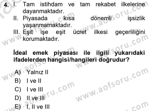 İstihdam ve İşsizlik Dersi Ara Sınavı Deneme Sınav Soruları 4. Soru
