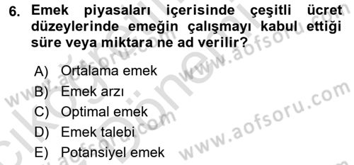 İstihdam ve İşsizlik Dersi 2022 - 2023 Yılı (Vize) Ara Sınav Soruları 6. Soru