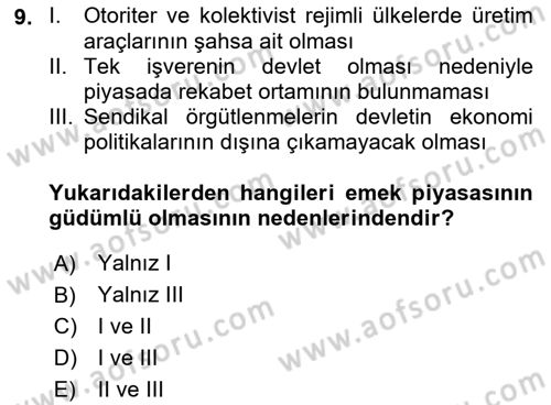 İstihdam ve İşsizlik Dersi 2022 - 2023 Yılı (Vize) Ara Sınav Soruları 9. Soru