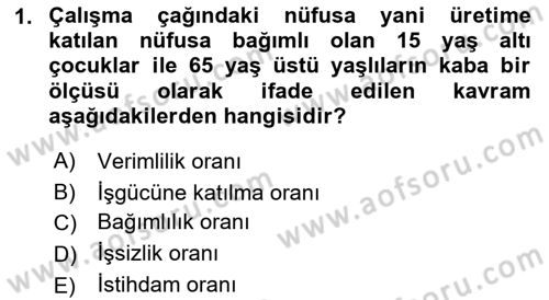 İstihdam ve İşsizlik Dersi 2022 - 2023 Yılı (Final) Dönem Sonu Sınav Soruları 1. Soru