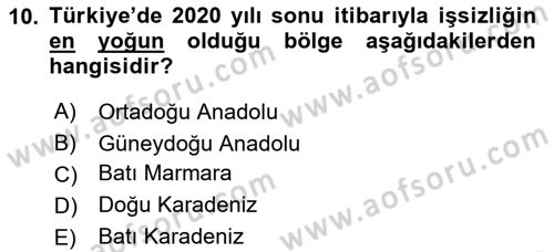 İstihdam ve İşsizlik Dersi 2022 - 2023 Yılı (Final) Dönem Sonu Sınav Soruları 10. Soru