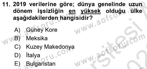 İstihdam ve İşsizlik Dersi 2022 - 2023 Yılı (Final) Dönem Sonu Sınav Soruları 11. Soru