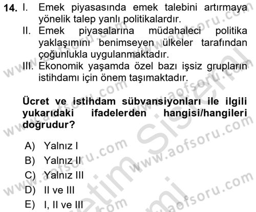 İstihdam ve İşsizlik Dersi 2022 - 2023 Yılı (Final) Dönem Sonu Sınav Soruları 14. Soru