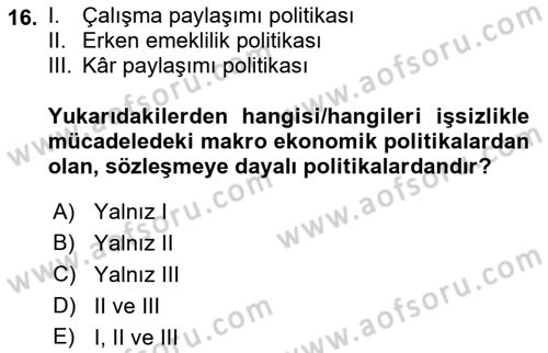 İstihdam ve İşsizlik Dersi 2022 - 2023 Yılı (Final) Dönem Sonu Sınav Soruları 16. Soru