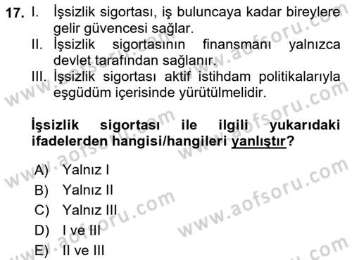 İstihdam ve İşsizlik Dersi 2022 - 2023 Yılı (Final) Dönem Sonu Sınav Soruları 17. Soru