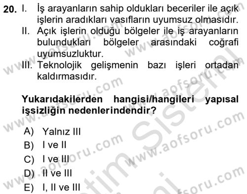 İstihdam ve İşsizlik Dersi 2022 - 2023 Yılı (Final) Dönem Sonu Sınav Soruları 20. Soru