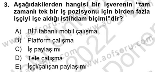 İstihdam ve İşsizlik Dersi 2022 - 2023 Yılı (Final) Dönem Sonu Sınav Soruları 3. Soru