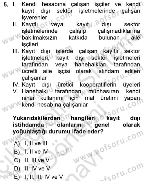 İstihdam ve İşsizlik Dersi 2022 - 2023 Yılı (Final) Dönem Sonu Sınav Soruları 5. Soru