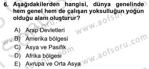 İstihdam ve İşsizlik Dersi 2022 - 2023 Yılı (Final) Dönem Sonu Sınav Soruları 6. Soru