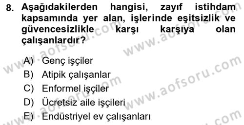 İstihdam ve İşsizlik Dersi 2022 - 2023 Yılı (Final) Dönem Sonu Sınav Soruları 8. Soru
