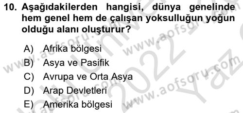 İstihdam ve İşsizlik Dersi 2022 - 2023 Yılı Yaz Okulu Sınav Soruları 10. Soru