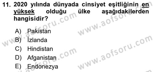 İstihdam ve İşsizlik Dersi 2022 - 2023 Yılı Yaz Okulu Sınav Soruları 11. Soru