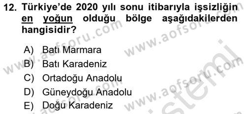 İstihdam ve İşsizlik Dersi 2022 - 2023 Yılı Yaz Okulu Sınav Soruları 12. Soru