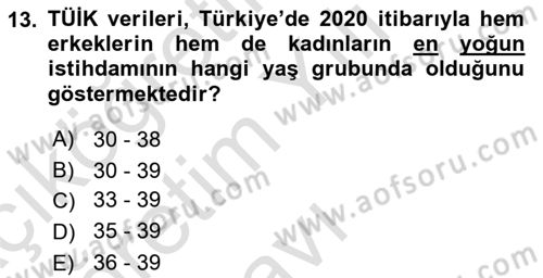 İstihdam ve İşsizlik Dersi 2022 - 2023 Yılı Yaz Okulu Sınav Soruları 13. Soru