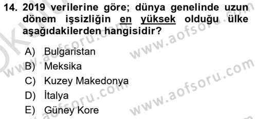 İstihdam ve İşsizlik Dersi 2022 - 2023 Yılı Yaz Okulu Sınav Soruları 14. Soru