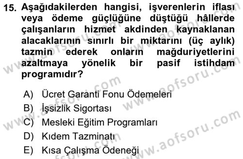 İstihdam ve İşsizlik Dersi 2022 - 2023 Yılı Yaz Okulu Sınav Soruları 15. Soru