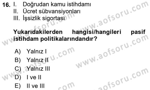İstihdam ve İşsizlik Dersi 2022 - 2023 Yılı Yaz Okulu Sınav Soruları 16. Soru