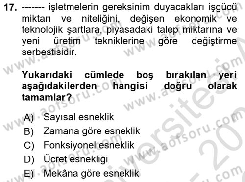 İstihdam ve İşsizlik Dersi 2022 - 2023 Yılı Yaz Okulu Sınav Soruları 17. Soru