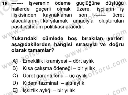 İstihdam ve İşsizlik Dersi 2022 - 2023 Yılı Yaz Okulu Sınav Soruları 18. Soru